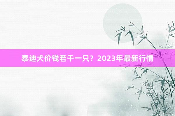 泰迪犬价钱若干一只？2023年最新行情