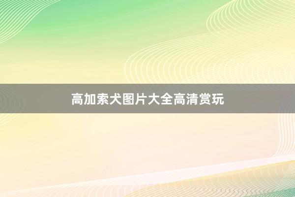 高加索犬图片大全高清赏玩