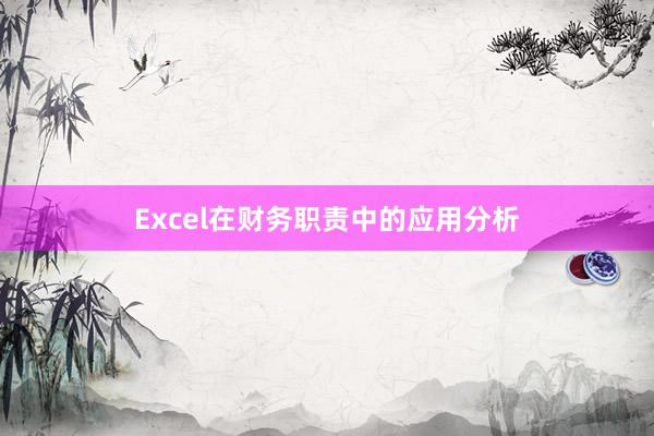 Excel在财务职责中的应用分析