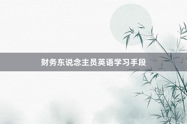 财务东说念主员英语学习手段