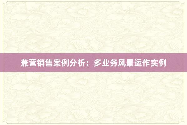 兼营销售案例分析：多业务风景运作实例