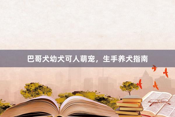 巴哥犬幼犬可人萌宠，生手养犬指南